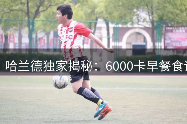 哈兰德独家揭秘：6000卡早餐食谱背后的"超级食物"哲学