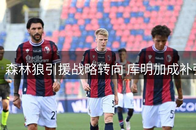 森林狼引援战略转向 库明加成补强重点目标