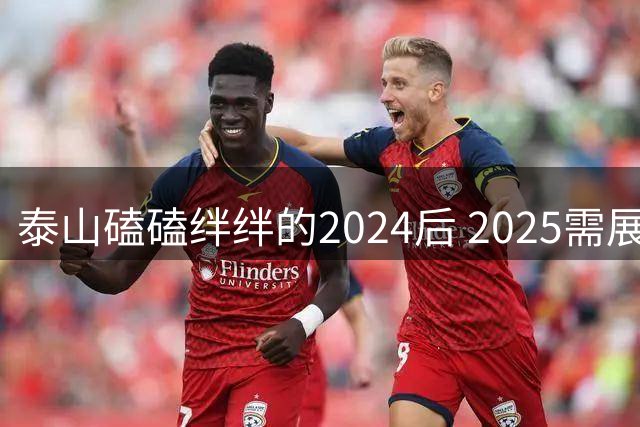 泰山磕磕绊绊的2024后 2025需展现清晰的发展方向
